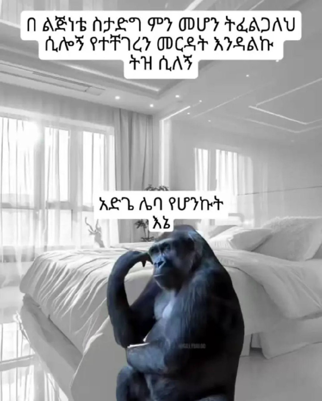 1 በ ልጅነቴ ስታድግ ምን መሆን ትፈልጋለህ ገ ቢሎኝ የተቸገረን መርዳት አንዳልኩ - እሠሥ.: መ” . ABE ALE PY OU LATA STL AES PPP CY OCS APSA _ fe eS: :